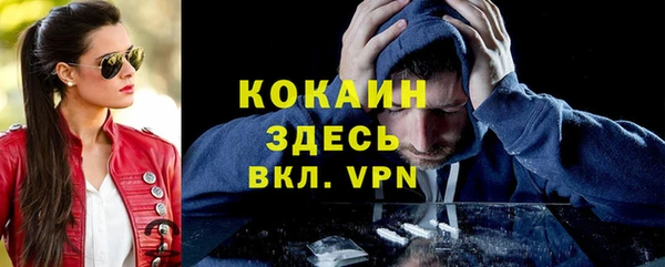 твердый Слюдянка
