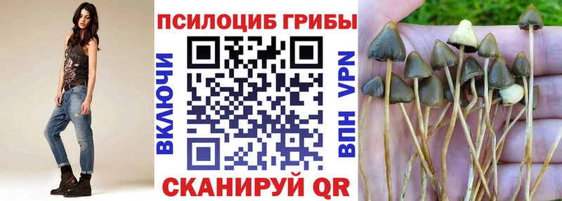 продажа наркотиков  omg рабочий сайт  Псилоцибиновые грибы Magic Shrooms  Бузулук 